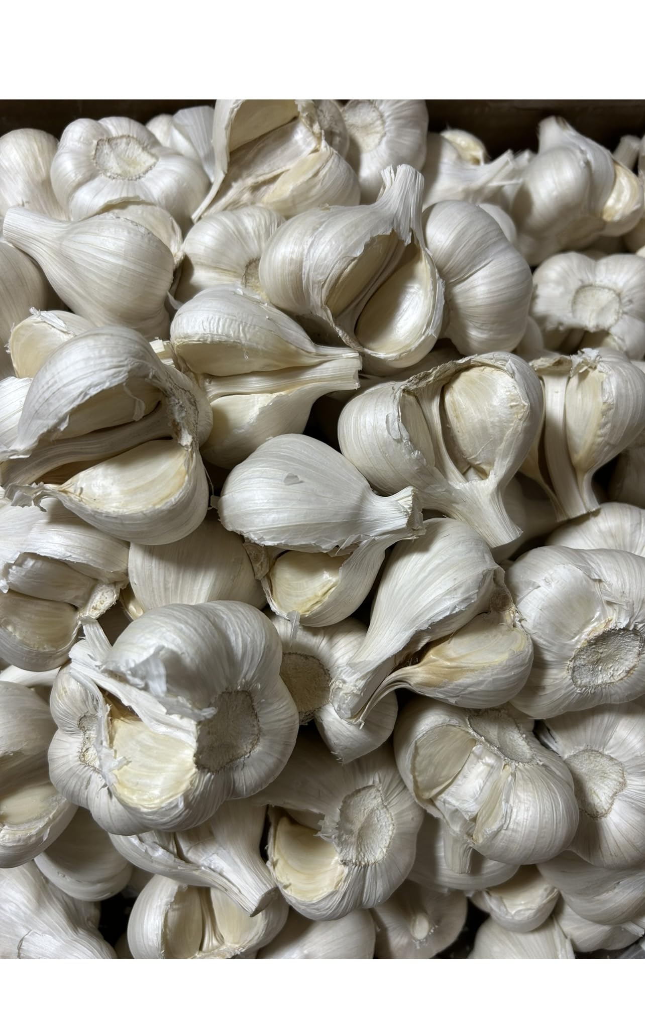 Amazon.co.jp: 青森県産にんにく 業務用にんにく1キロ Lサイズ